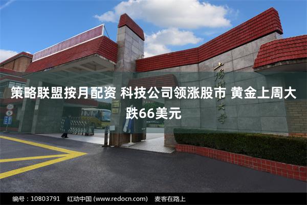 策略联盟按月配资 科技公司领涨股市 黄金上周大跌66美元