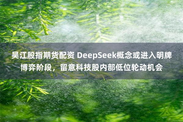 吴江股指期货配资 DeepSeek概念或进入明牌博弈阶段，留意科技股内部低位轮动机会