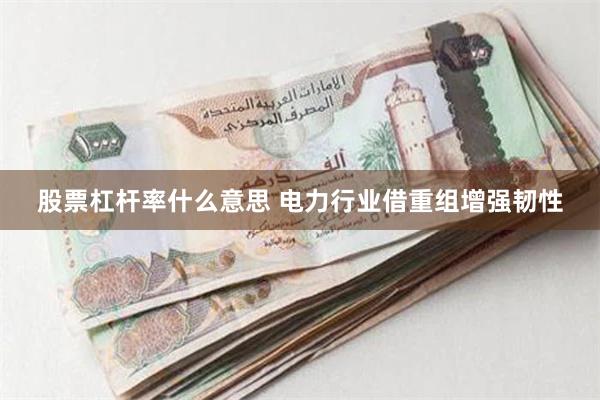 股票杠杆率什么意思 电力行业借重组增强韧性