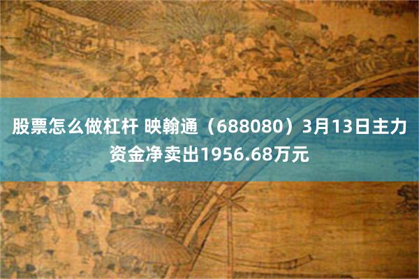 股票怎么做杠杆 映翰通（688080）3月13日主力资金净卖出1956.68万元