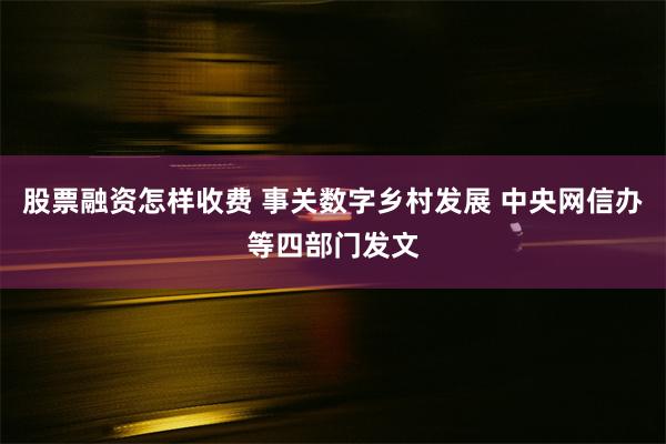 股票融资怎样收费 事关数字乡村发展 中央网信办等四部门发文