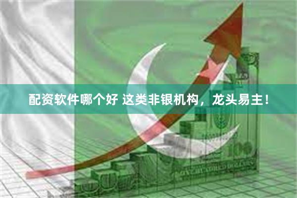 配资软件哪个好 这类非银机构，龙头易主！