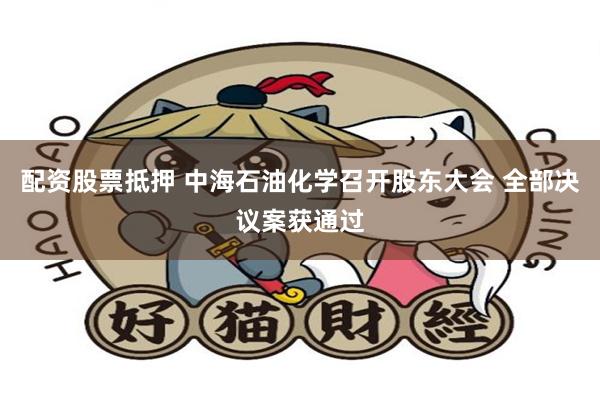 配资股票抵押 中海石油化学召开股东大会 全部决议案获通过