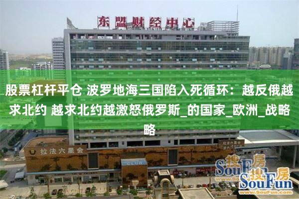 股票杠杆平仓 波罗地海三国陷入死循环：越反俄越求北约 越求北约越激怒俄罗斯_的国家_欧洲_战略