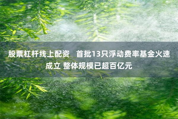 股票杠杆线上配资   首批13只浮动费率基金火速成立 整体规模已超百亿元
