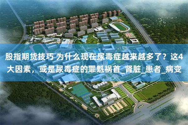 股指期货技巧 为什么现在尿毒症越来越多了？这4大因素，或是尿毒症的罪魁祸首_肾脏_患者_病变